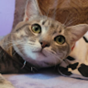 Meet your Posher, Sandra